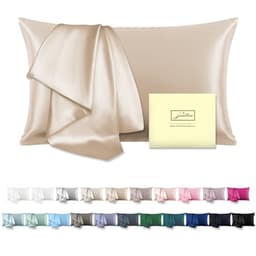 Natural Mulberry Silk Pillowcase for Hair and Skin Standard Size 20"X 26" with Hidden Zipper Soft Breathable Smooth Cooling Covers for Sleeping(Champagne,Standard,1Pcs)